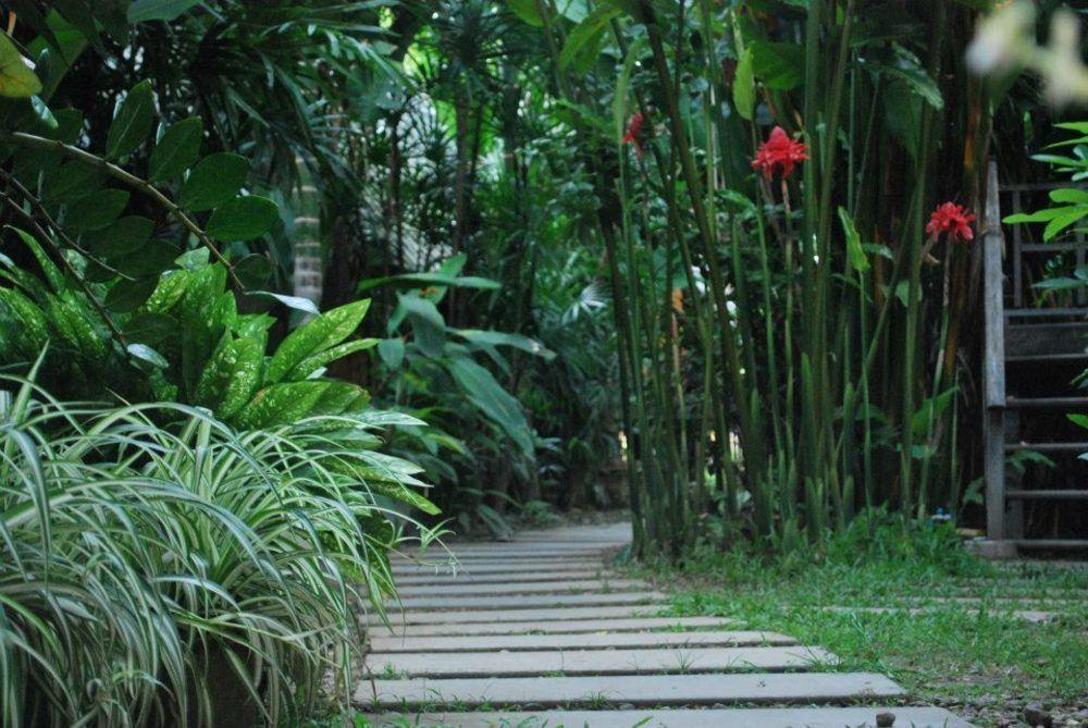 Breeze Of Pai Guesthouse Eksteriør billede