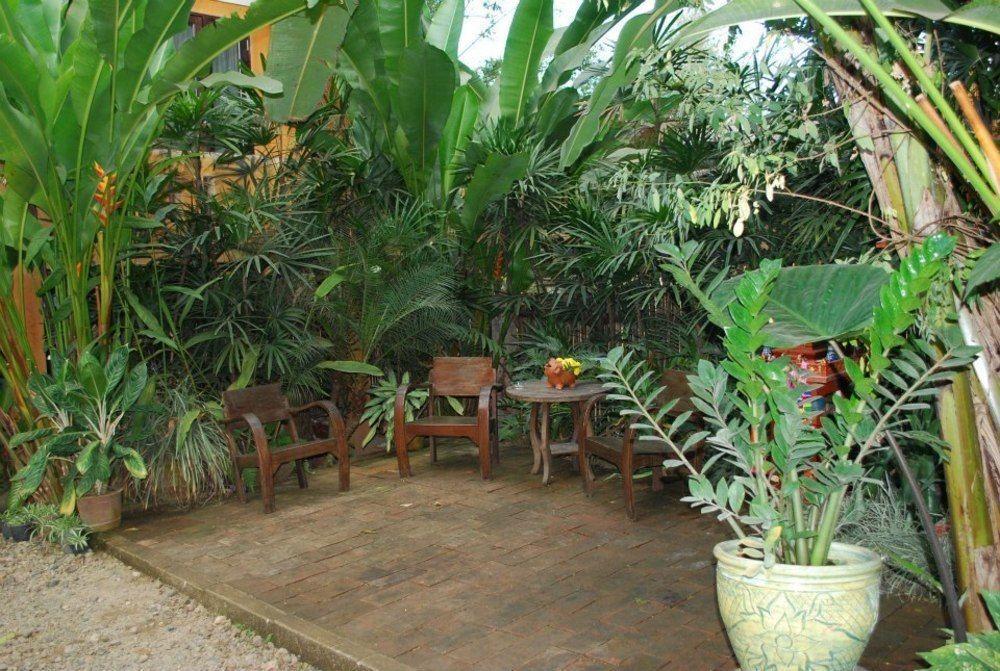 Breeze Of Pai Guesthouse Eksteriør billede